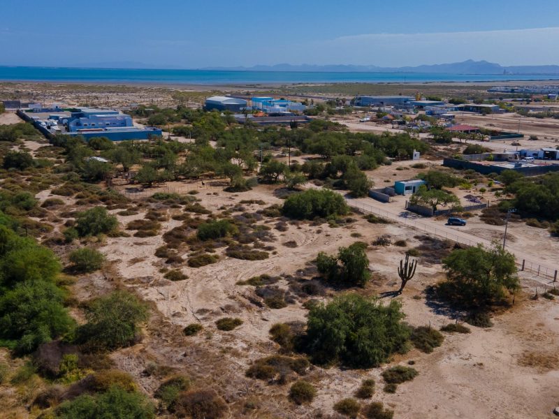 Chamizal, Chametla, La Paz