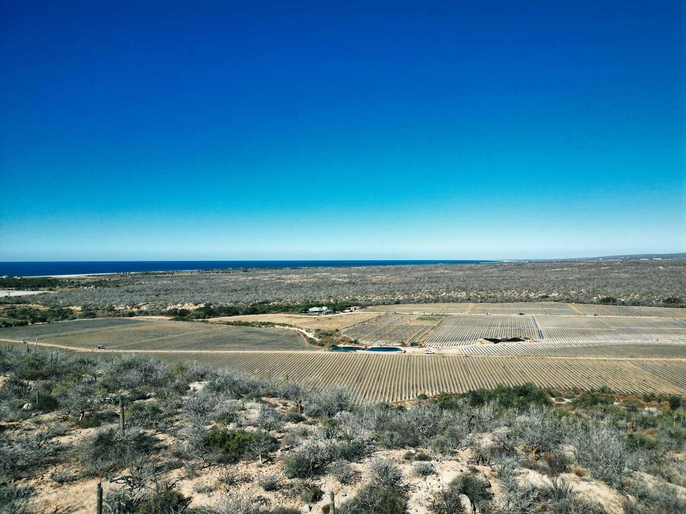 Lot in El Posito, Pacific, photo 5