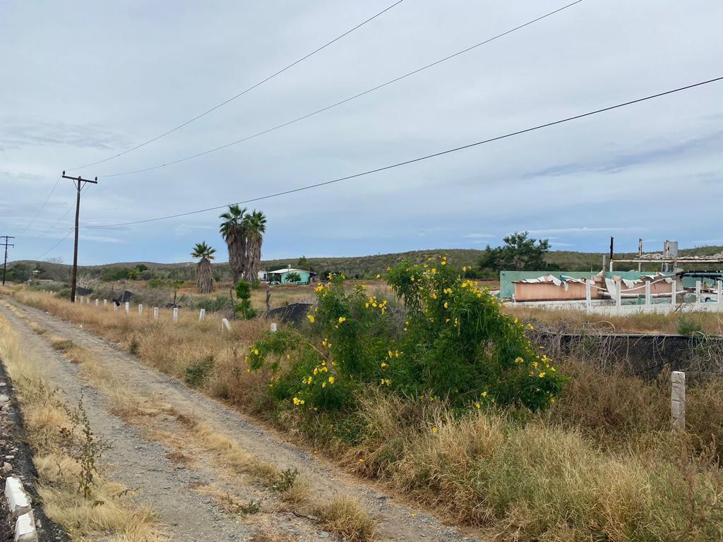 CARRETERA LOS CABOS-LA PAZ, Todos Santos-General, photo 2