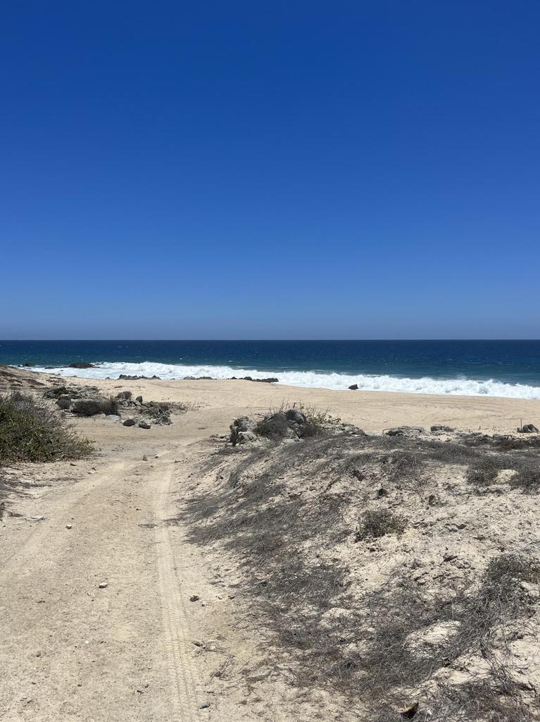 East Cape Road, Costa de Oro, photo 5