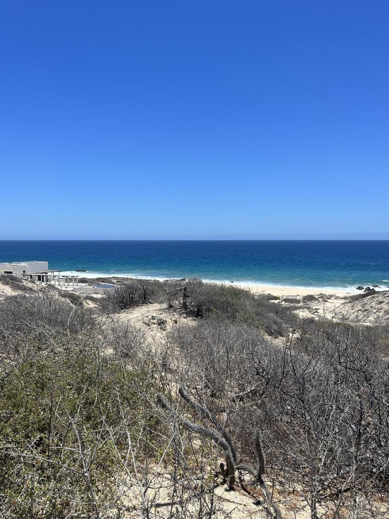 East Cape Road, Costa de Oro, photo 4