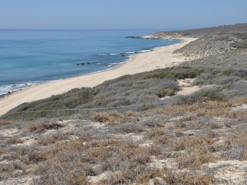 Camino a La Ribera, Pindojo, East Cape