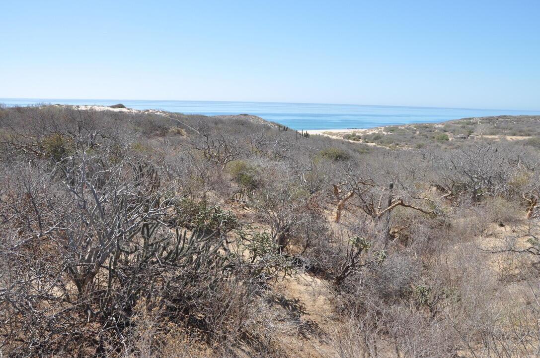 Camino a La Ribera, Pindojo, East Cape, photo 2