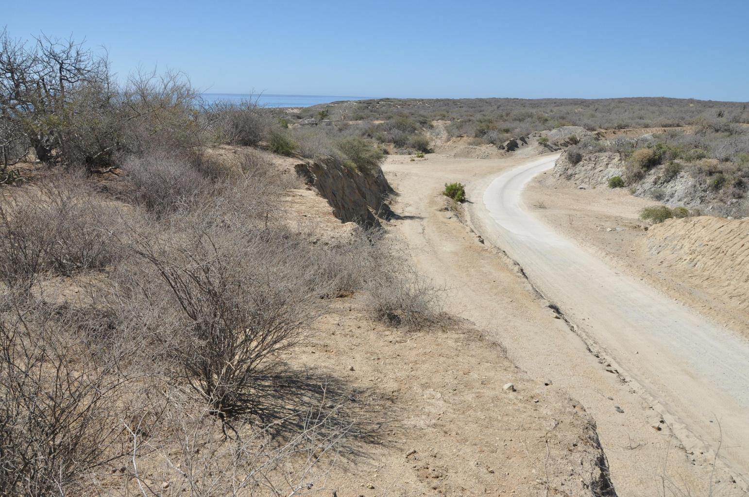 Camino a La Ribera, Pindojo, East Cape, photo 3