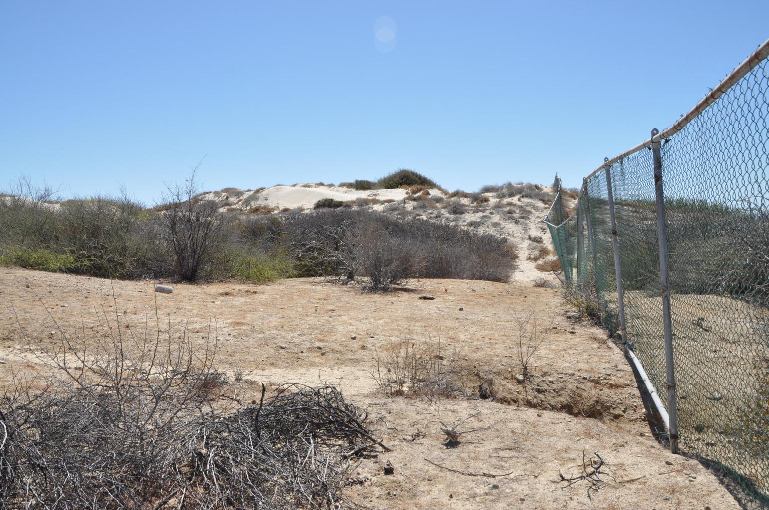 Camino a La Ribera, Pindojo, East Cape, photo 4