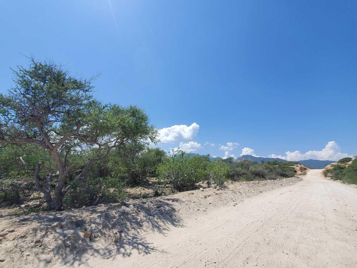 Poligono#7, Boca del Alamo, East Cape, photo 5