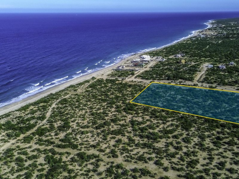 St Teresa Lot, Octopus Beach, Boca del Alamo, East Cape