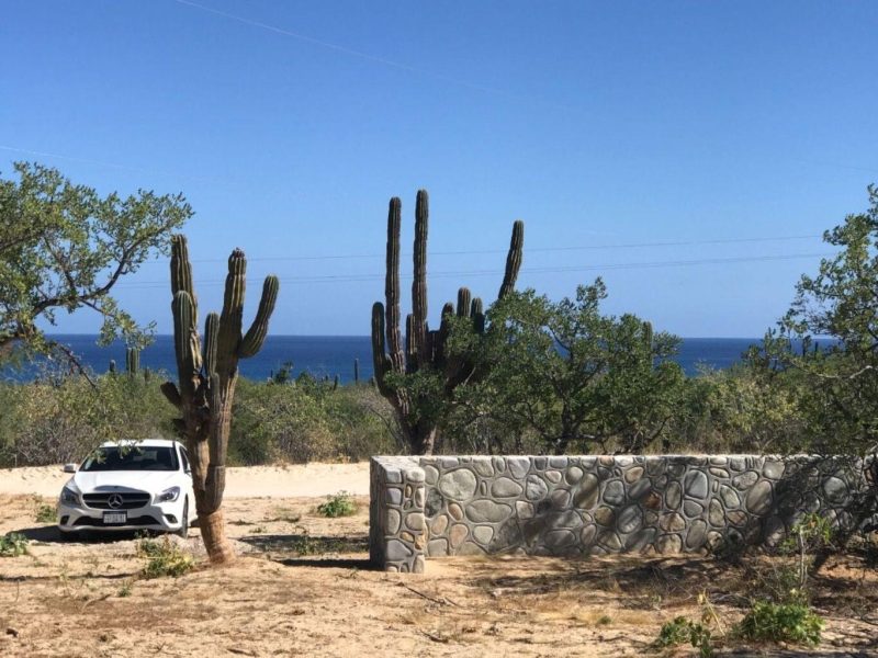OFFROAD CARDONAL-LOS BARRILES, Las Tinas, East Cape