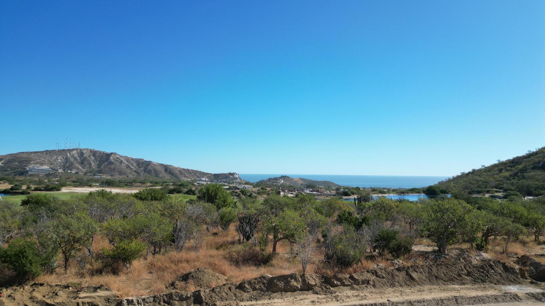 Palmilla Park, Oasis Palmilla, San Jose Corridor, photo 5
