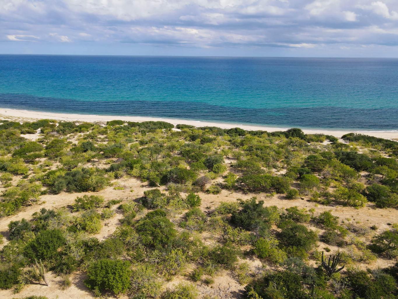 Lot in Las Tinas, East Cape, photo 5