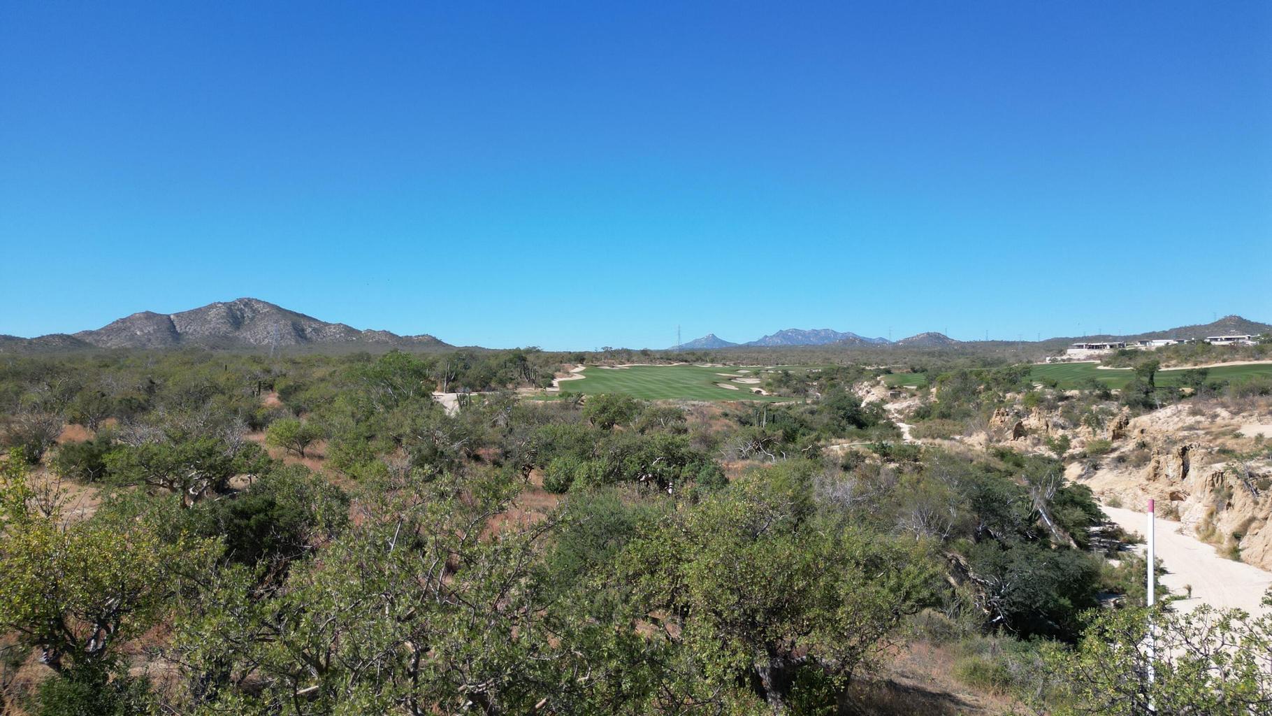 Palmilla Park, Oasis Palmilla, San Jose Corridor, photo 3