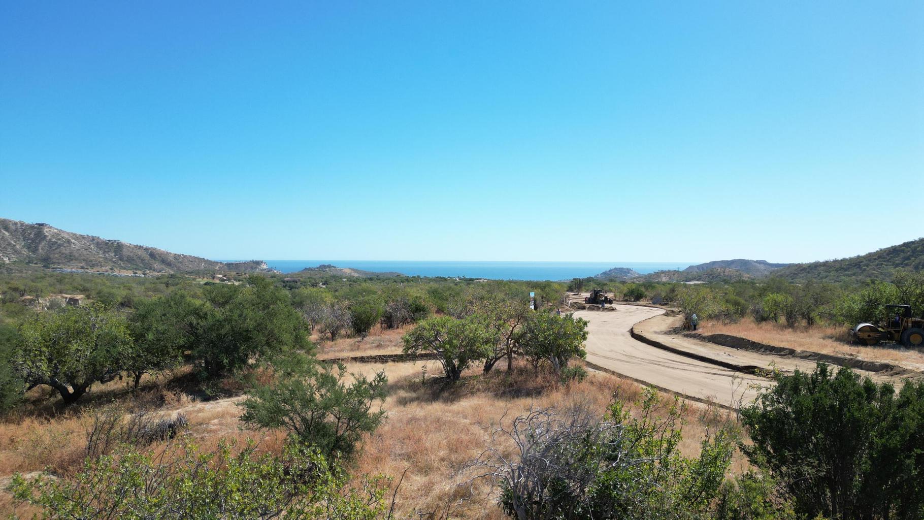 Palmilla Park, Oasis Palmilla, San Jose Corridor, photo 2
