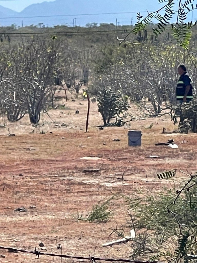 Lot in Rancho Leonero, East Cape, photo 5
