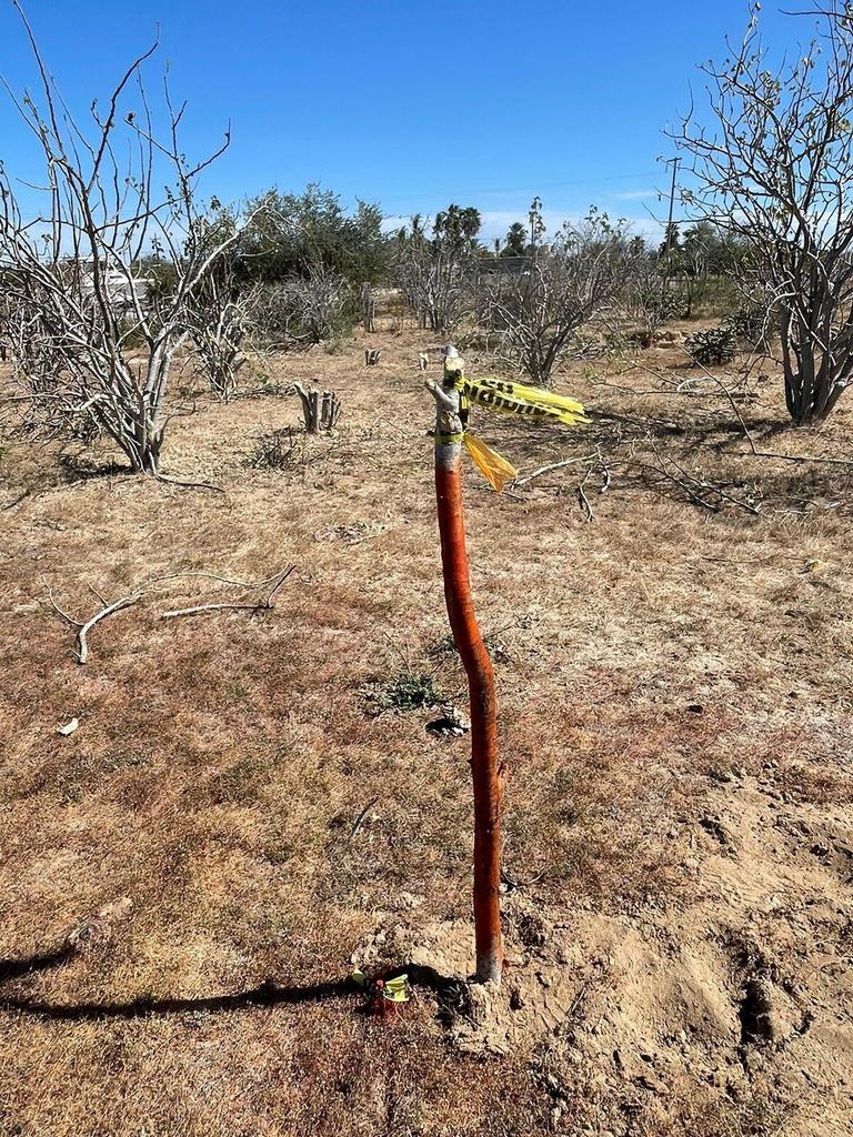 Lot in Rancho Leonero, East Cape, photo 4