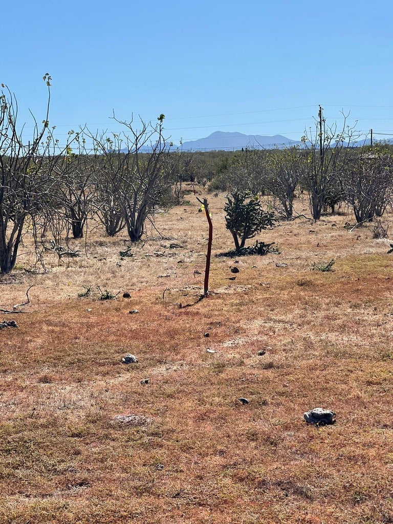 Lot in Rancho Leonero, East Cape, photo 3