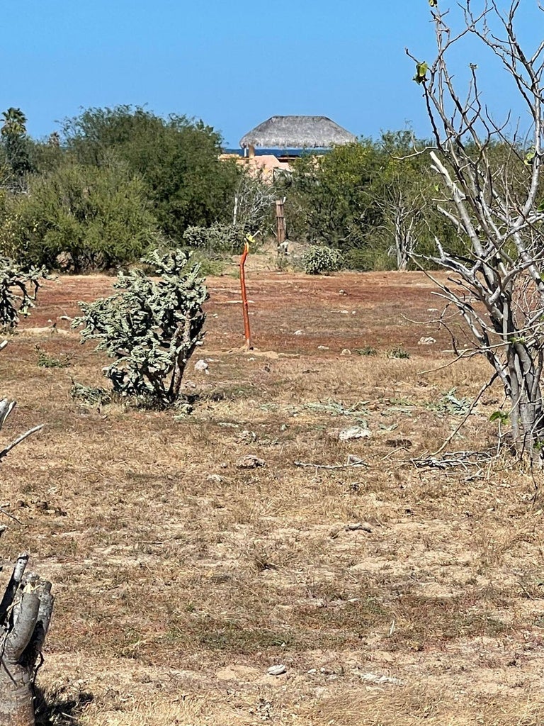 Lot in Rancho Leonero, East Cape, photo 5