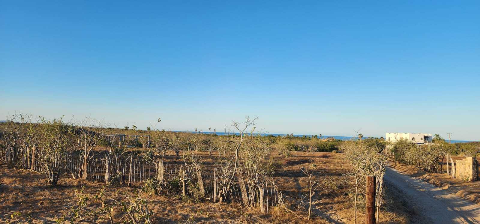 Lot in Rancho Leonero, East Cape, photo 2