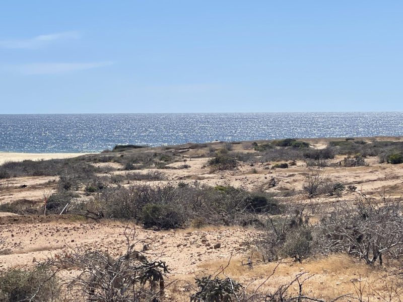 Lote 8 Manzana 17, RanchoLasMargaritas, Pacific
