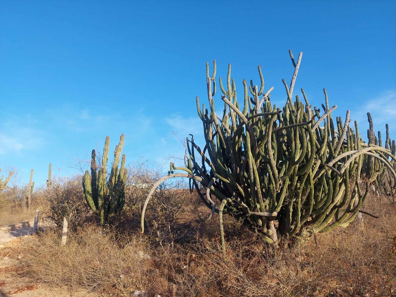 S/N SIN NOMBRE, San Pedro, La Paz, photo 2