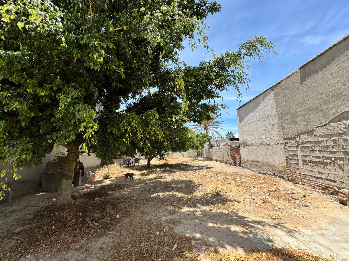 Valentin Gomez Farias, Centro, La Paz, photo 5