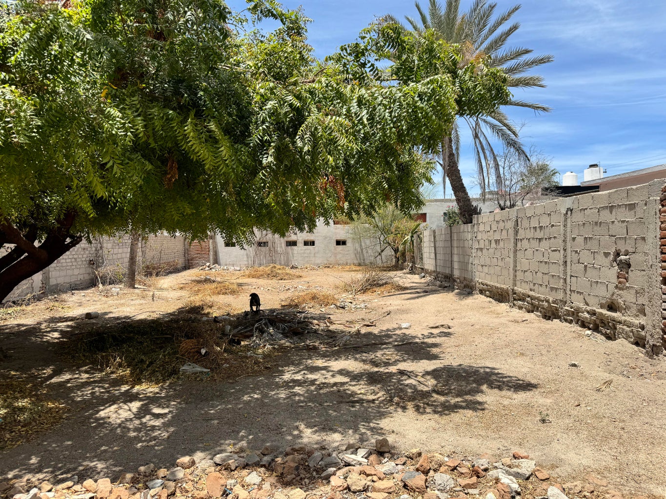 Valentin Gomez Farias, Centro, La Paz, photo 4