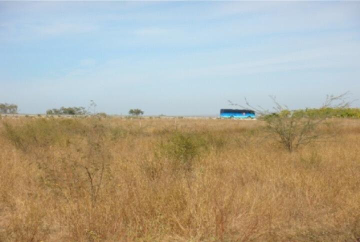 Lote 08 La Pradera, Airport, San Jose del Cabo, photo 3