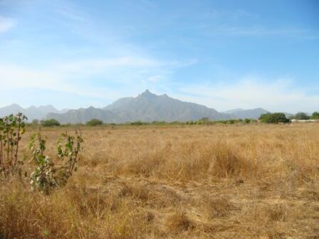 Lote 09 La Pradera, Airport, San Jose del Cabo, photo 4