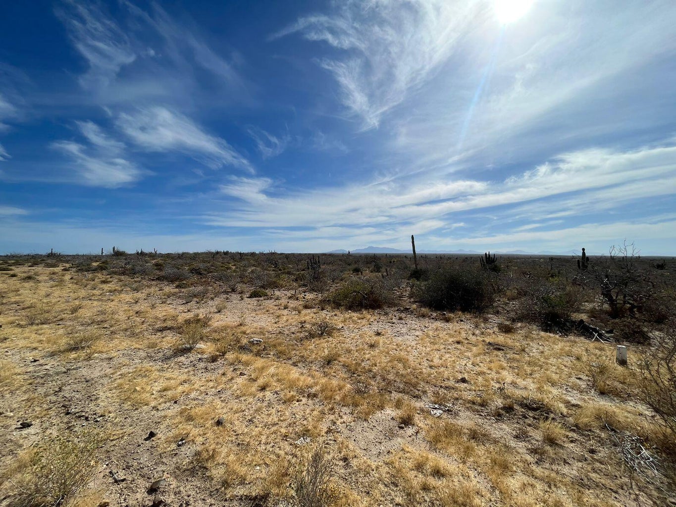 Lot in Todos Santos-General, La Paz, photo 2