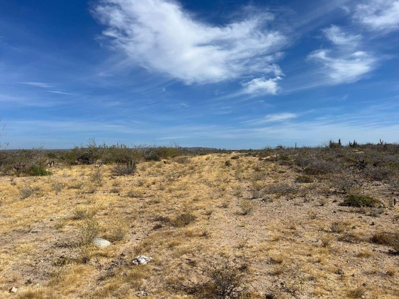 Lot in Todos Santos-General, La Paz