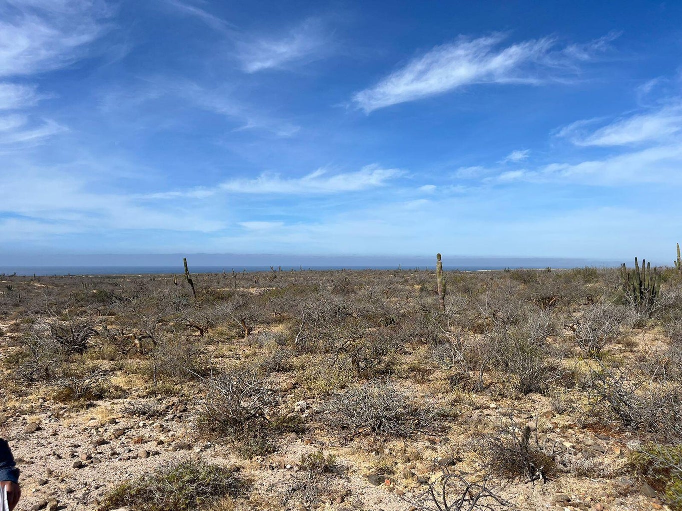 Lot in Todos Santos-General, La Paz, photo 3