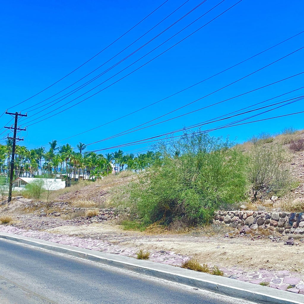 Palmira, Lomas de Palmira, La Paz, photo 4
