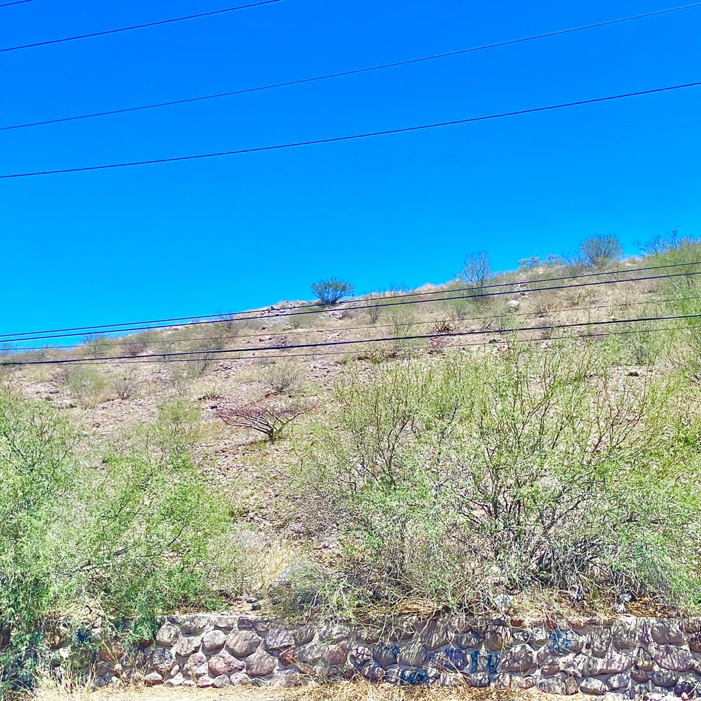 Palmira, Lomas de Palmira, La Paz, photo 3