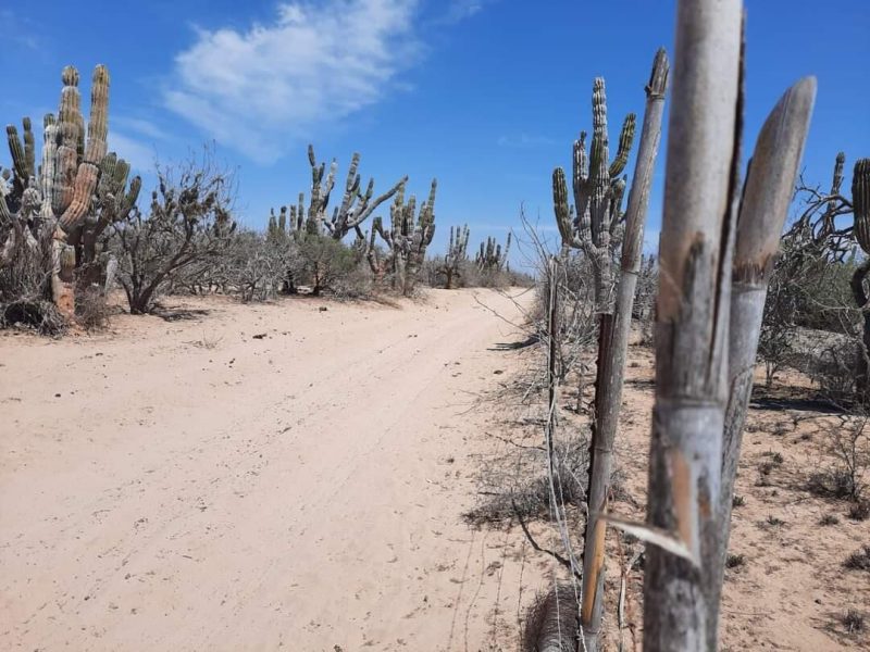 km 36 Carr. Al Nte, El Centenario, La Paz