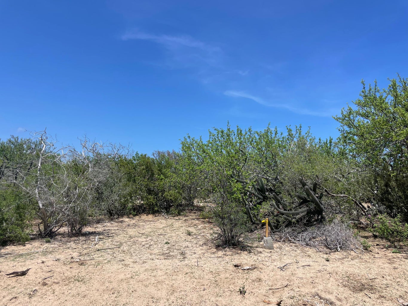 Lot in Punta Perfecta, East Cape, photo 3