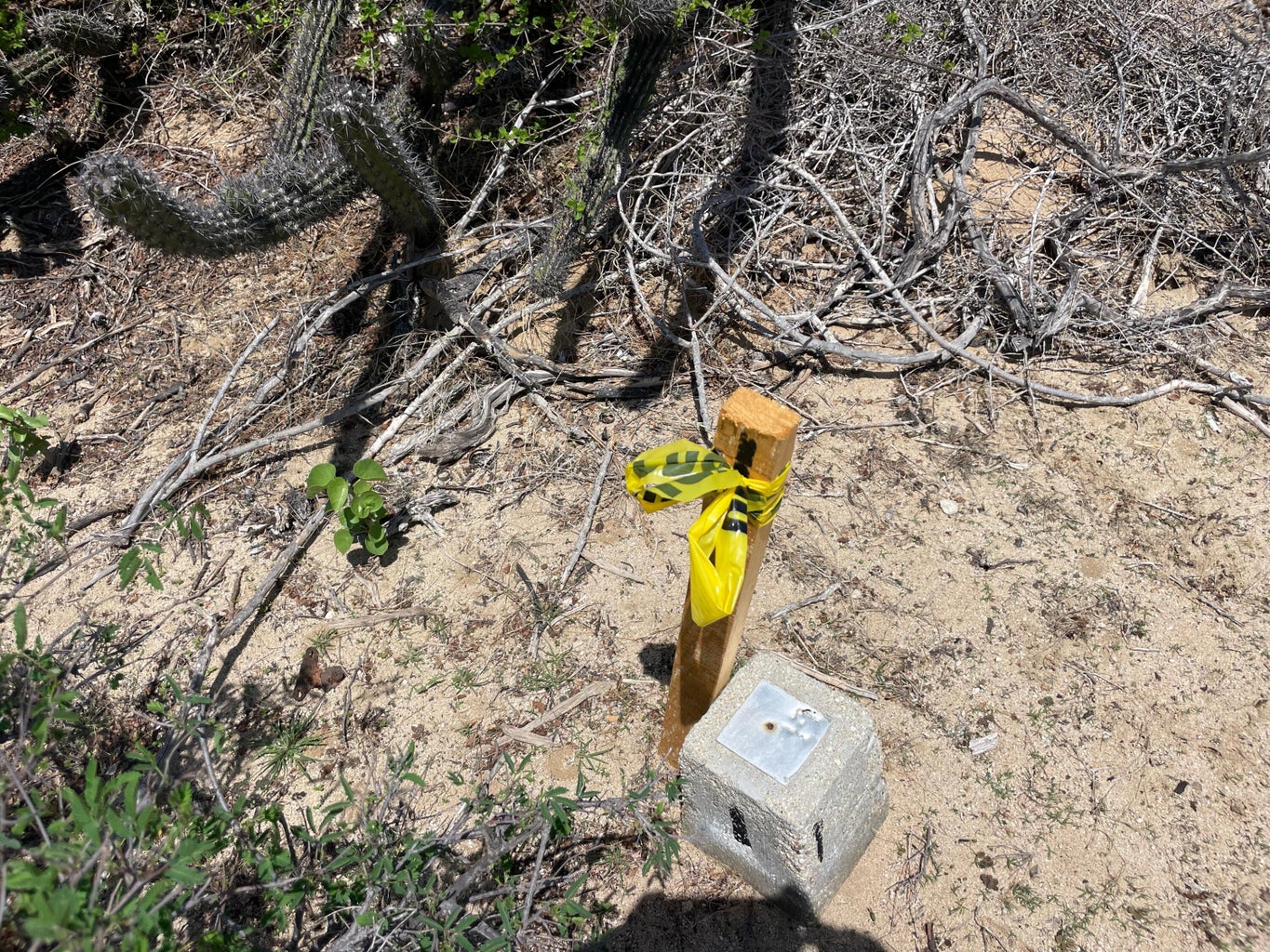 Lot in Punta Perfecta, East Cape, photo 3
