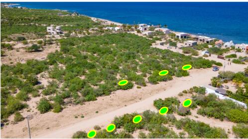 Lot in El Cardonal, East Cape, photo 5