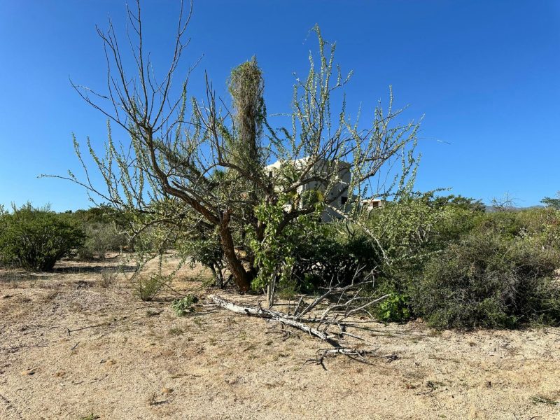 Lot in El Sargento, La Paz