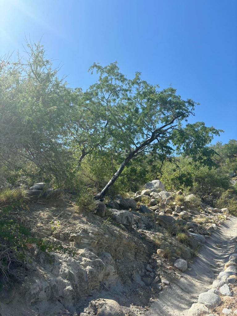 Lot in Buenos Aires, East Cape, photo 5