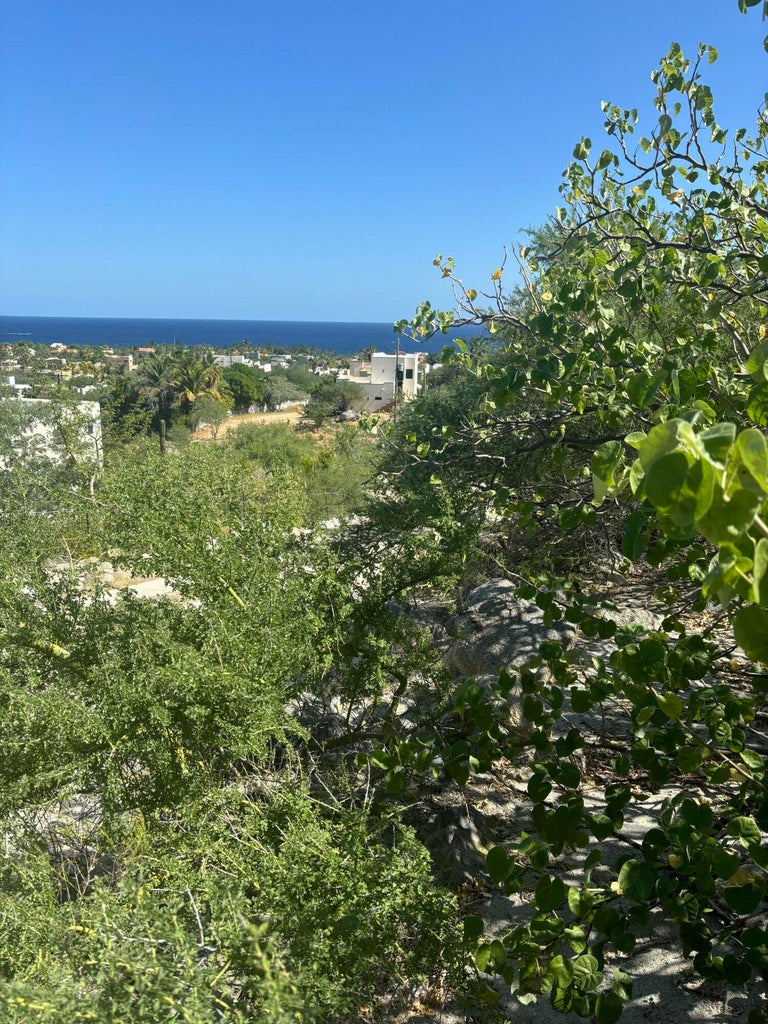 Lot in Buenos Aires, East Cape, photo 3
