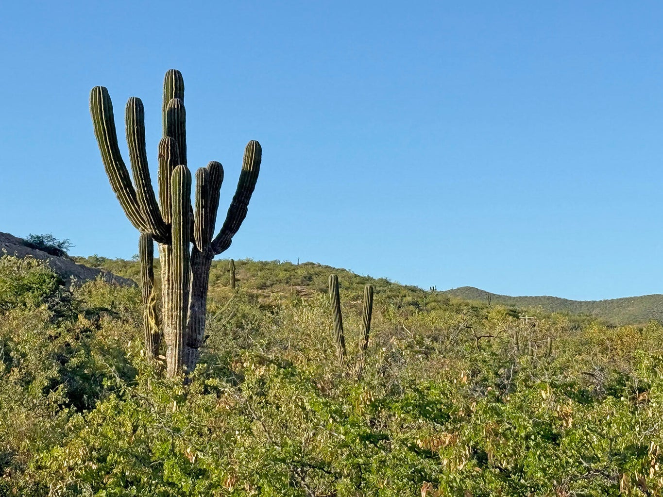 Lot in Nrth of Barilles-Gen, East Cape, photo 2