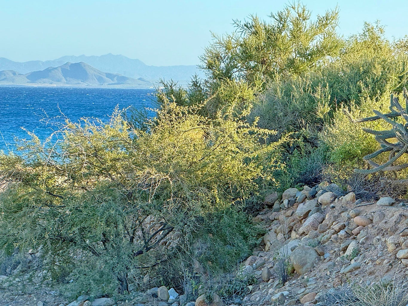Lot in Nrth of Barilles-Gen, East Cape, photo 5