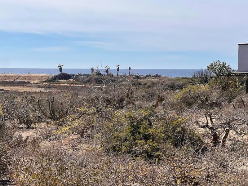 Double Lot Two Blocks From Beach, Cerritos, Pacific
