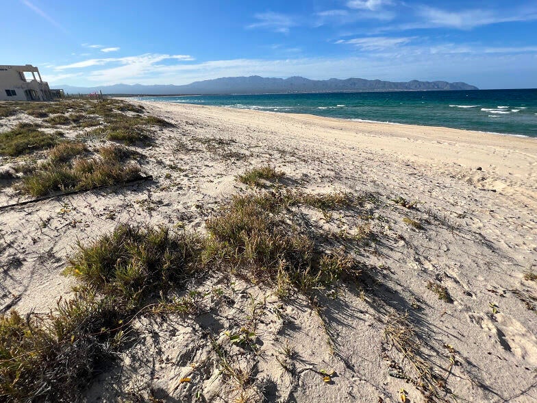 ACRE LOT 0198, La Ventana, East Cape, photo 2