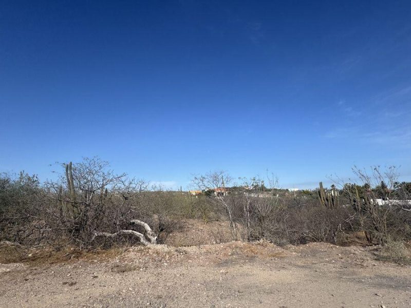 Doceava, Lomas del Centenario, Palo Verde, La Paz