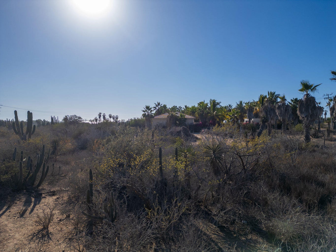 Lot in Pescadero, Pacific, photo 5