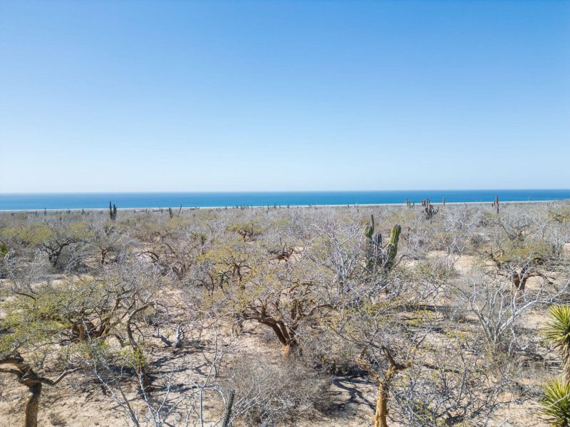 La Playitas, Todos Santos-General, Pacific