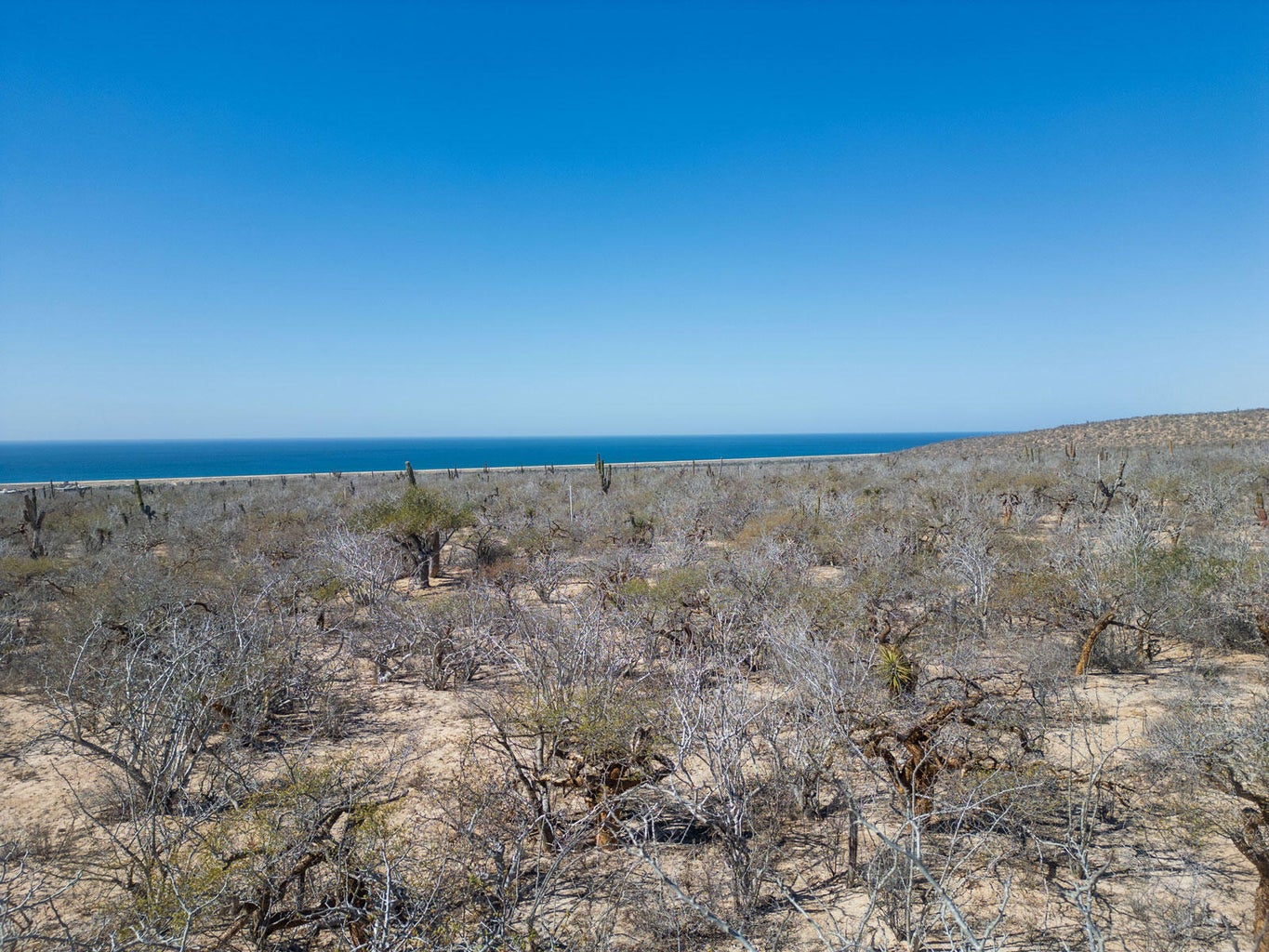 Las Playitas, Todos Santos-General, Pacific, photo 3