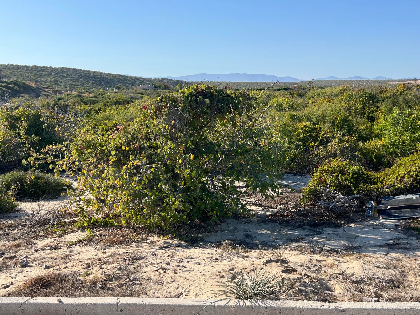 B-04 Lighthouse Point Estates, East Cape, photo 3