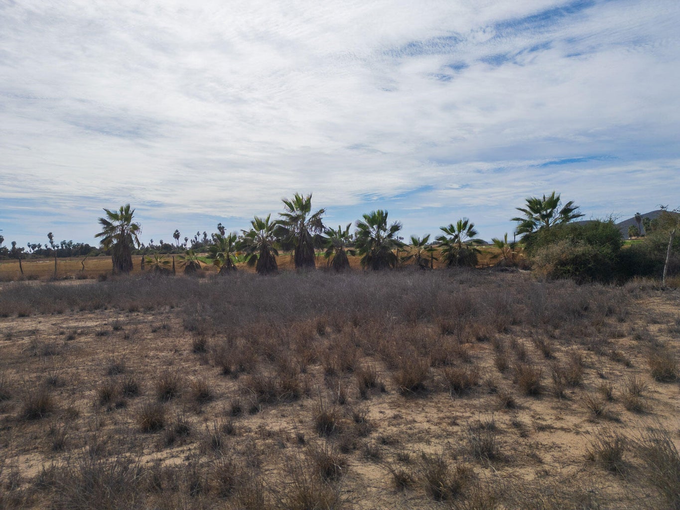 Lot in Pescadero, Pacific, photo 5