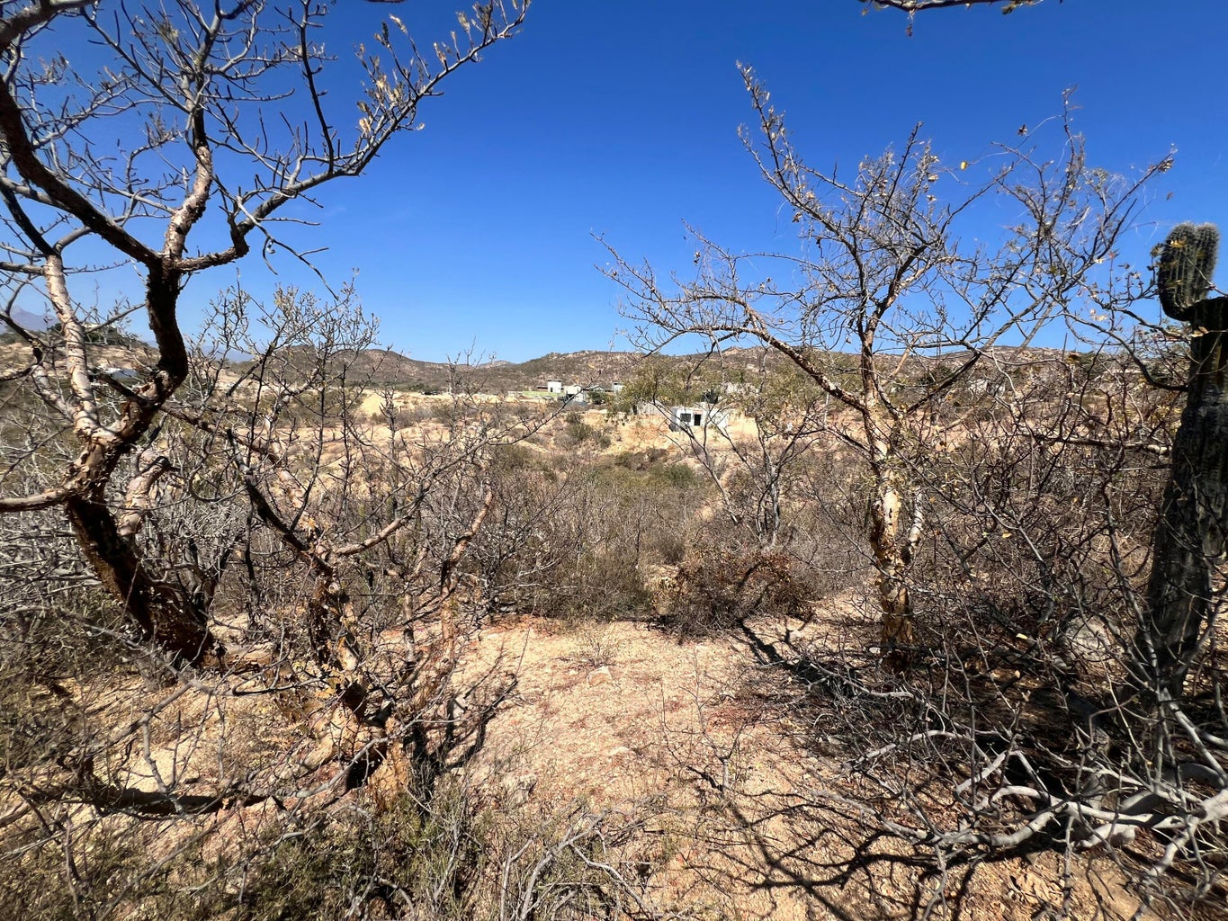 Lot 34 Calle 10, SJD Marina:General, San Jose del Cabo, photo 3